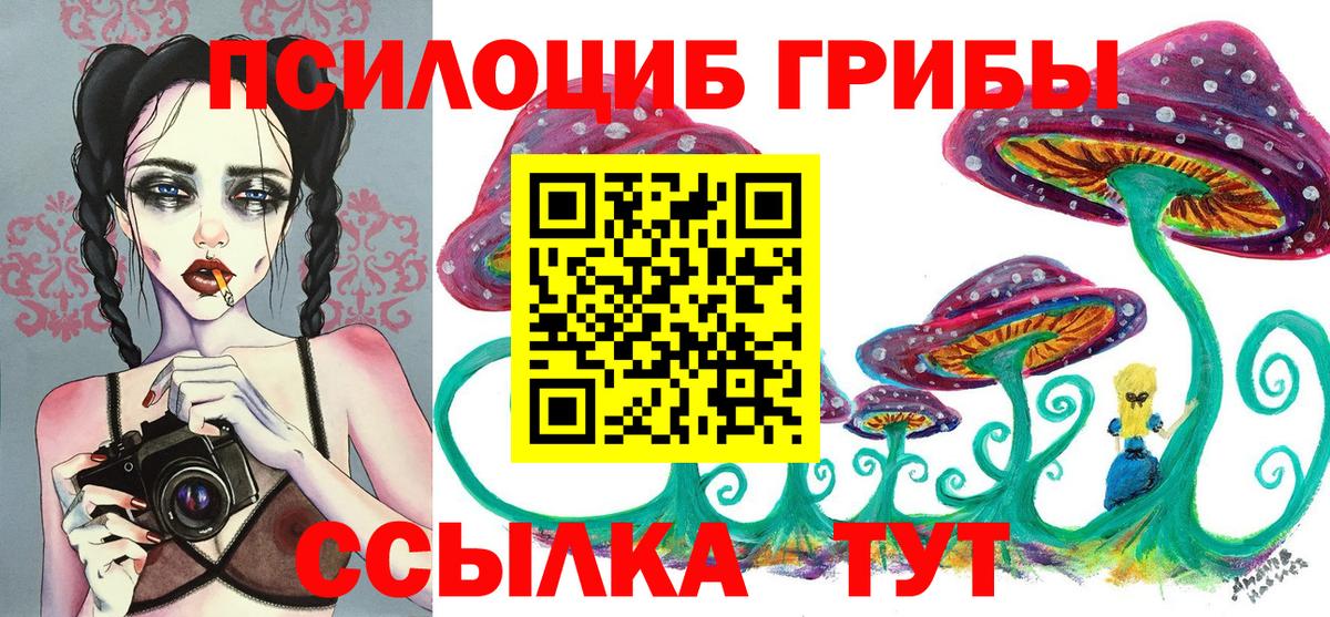 Владикавказ  Псилоцибиновые грибы Psilocybe  Вход с VPN 