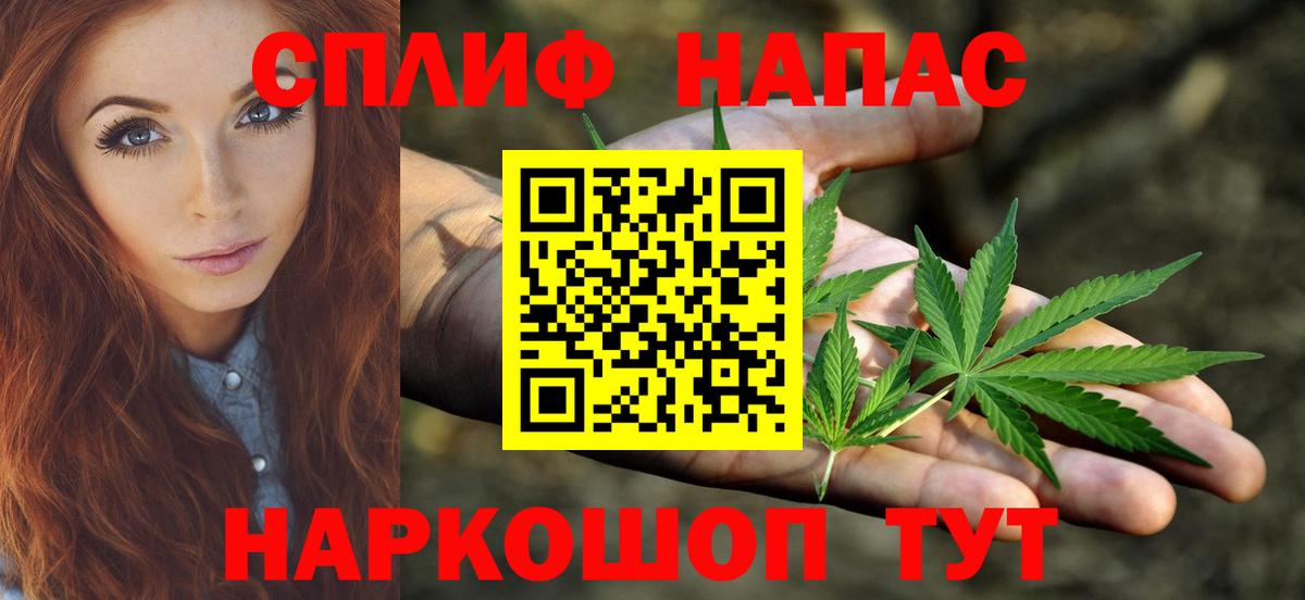 Марихуана сатива Владикавказ